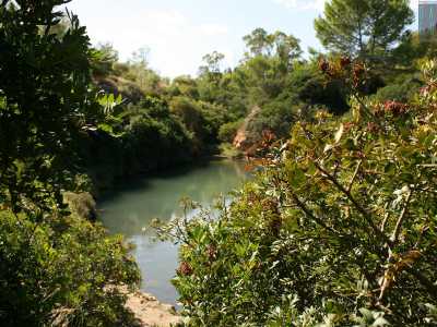 ...attorno ad esso infatti spuntano arbusti, alberi di fichi e piante di mirto, che si rincorrono lungo i bordi del dirupo con i loro frutti rossi